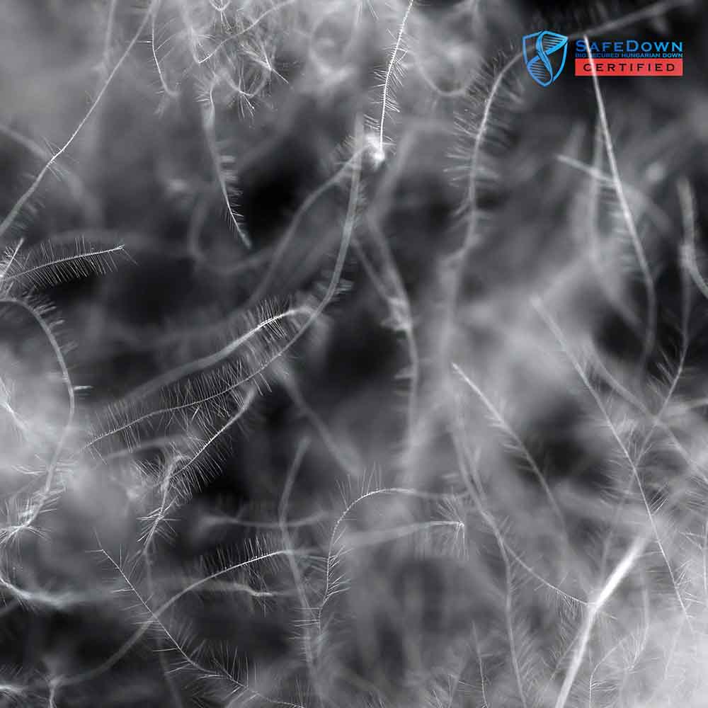 SafeDown Gallery Image 12