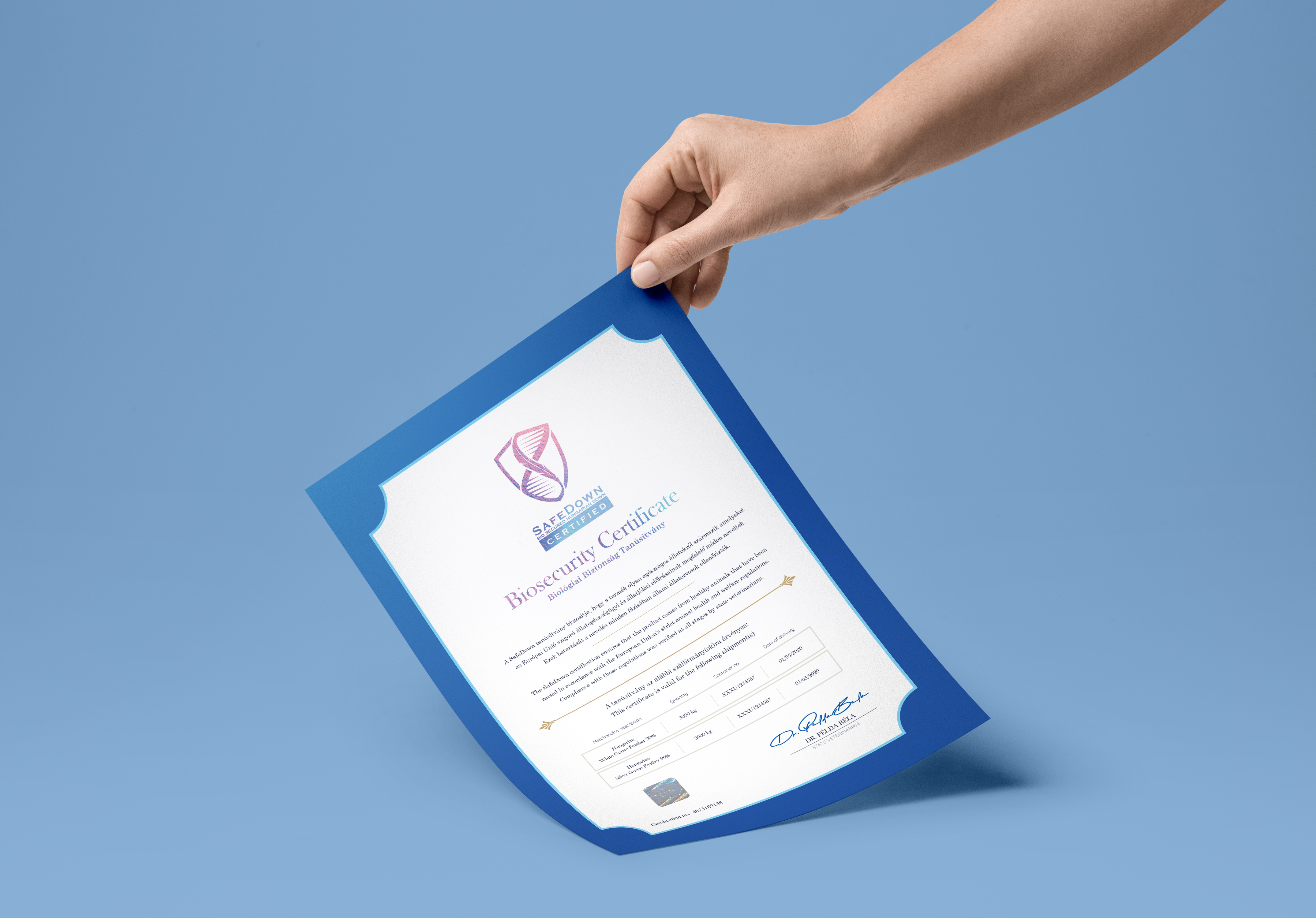 SafeDown Certification Example